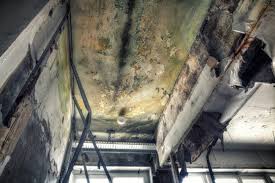 Best Mold Removal for HVAC Installations  in Lincoln, AR